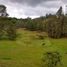 3 Bedroom House for sale in Guarne, Antioquia, Guarne