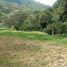  Land for sale in Cisneros, Antioquia, Cisneros