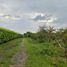 Studio Villa for sale in Montenegro, Quindio, Montenegro