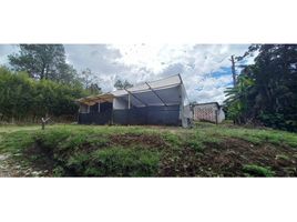  Land for sale in Rionegro, Antioquia, Rionegro