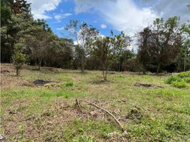  Land for sale in Rionegro, Antioquia, Rionegro