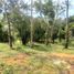  Land for sale in Jamundi, Valle Del Cauca, Jamundi