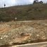  Land for sale in Guarne, Antioquia, Guarne