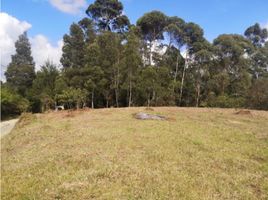  Terreno (Parcela) en venta en Rionegro, Antioquia, Rionegro