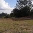  Land for sale in Rionegro, Antioquia, Rionegro