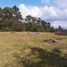  Land for sale in Rionegro, Antioquia, Rionegro