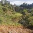  Land for sale in Rionegro, Antioquia, Rionegro