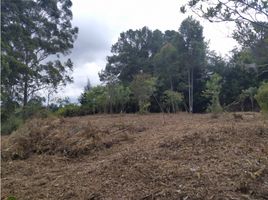  Land for sale in Rionegro, Antioquia, Rionegro