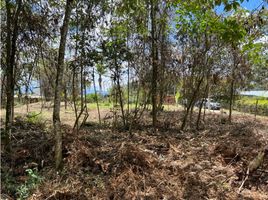  Terreno (Parcela) en venta en Rionegro, Antioquia, Rionegro