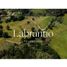  Land for sale in Rionegro, Antioquia, Rionegro