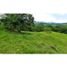  Land for sale in Tamesis, Antioquia, Tamesis