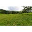  Land for sale in Tamesis, Antioquia, Tamesis