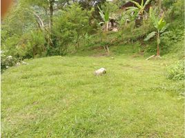  Terreno (Parcela) en venta en San Jeronimo, Antioquia, San Jeronimo