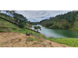  Grundstück zu verkaufen in Penol, Antioquia, Penol, Antioquia
