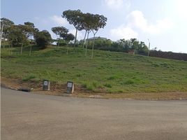  Land for sale in Cali, Valle Del Cauca, Cali