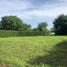  Land for sale in Cordoba, Monteria, Cordoba