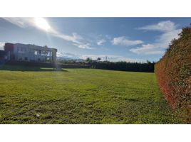  Land for sale in Rionegro, Antioquia, Rionegro