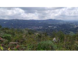  Land for sale in Guarne, Antioquia, Guarne