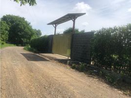  Land for sale in Cordoba, Monteria, Cordoba