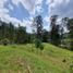  Land for sale in Rionegro, Antioquia, Rionegro