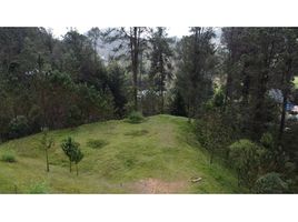  Land for sale in Rionegro, Antioquia, Rionegro