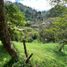  Land for sale in Envigado, Antioquia, Envigado