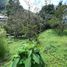  Land for sale in Envigado, Antioquia, Envigado