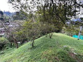  Terreno (Parcela) en venta en Envigado, Antioquia, Envigado