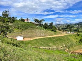  Terreno (Parcela) en venta en Marinilla, Antioquia, Marinilla