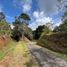  Land for sale in Rionegro, Antioquia, Rionegro