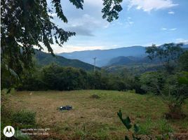  Terrain for sale in Anapoima, Cundinamarca, Anapoima