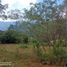  Land for sale in Anapoima, Cundinamarca, Anapoima