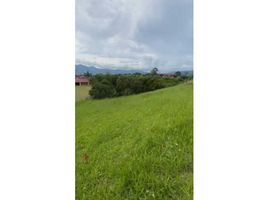  Terreno (Parcela) en venta en Dosquebradas, Risaralda, Dosquebradas