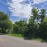  Land for sale in Agustin Codazzi, Cesar, Agustin Codazzi