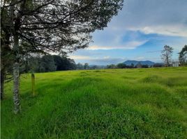  Terreno (Parcela) en venta en La Ceja, Antioquia, La Ceja