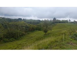  Land for sale in Pereira, Risaralda, Pereira