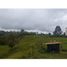  Land for sale in Pereira, Risaralda, Pereira