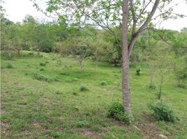  Land for sale in Vijes, Valle Del Cauca, Vijes