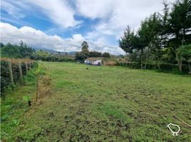  Terreno (Parcela) en venta en La Ceja, Antioquia, La Ceja