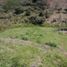  Land for sale in Marinilla, Antioquia, Marinilla