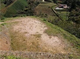  Land for sale in Marinilla, Antioquia, Marinilla