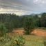  Land for sale in Rionegro, Antioquia, Rionegro