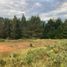  Land for sale in Rionegro, Antioquia, Rionegro