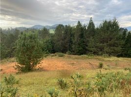  Land for sale in Rionegro, Antioquia, Rionegro