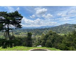  Land for sale in Rionegro, Antioquia, Rionegro