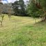  Land for sale in Rionegro, Antioquia, Rionegro