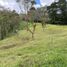  Land for sale in Rionegro, Antioquia, Rionegro