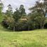  Land for sale in Rionegro, Antioquia, Rionegro