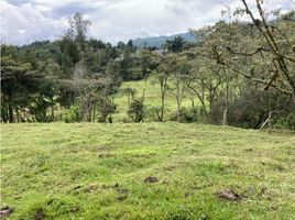  Land for sale in Rionegro, Antioquia, Rionegro