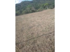  Terrain for sale in San Jeronimo, Antioquia, San Jeronimo